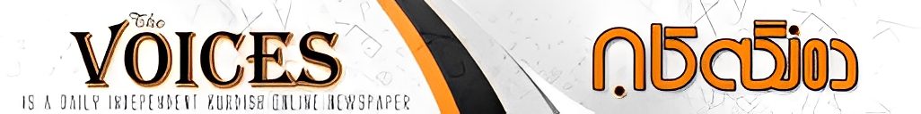 Close-up of a black and orange object on a white background.